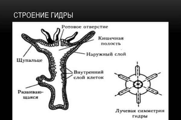 Как зайти на площадку кракен