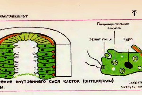 Как найти ссылку на кракен