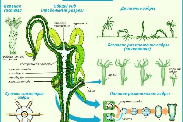 Кракен рабочая ссылка на официальный магазин