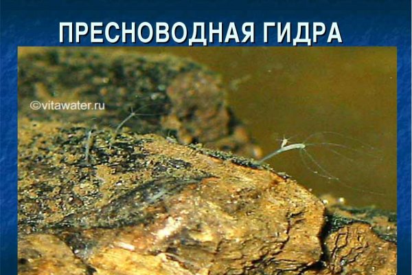 Дарк маркетплейс кракен