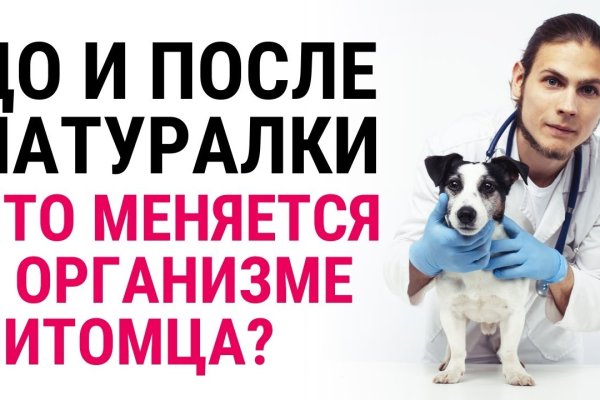 Кракен сайт krk market com