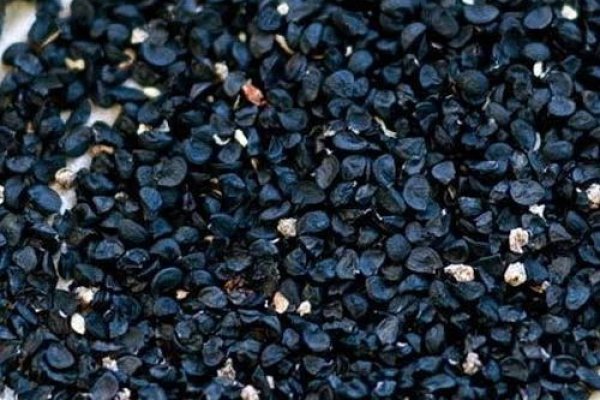 Кракен сайт ссылки актуальные